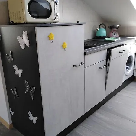 Appartement Komplette Dachwohnung Mit Balkon Und Bergblick *
