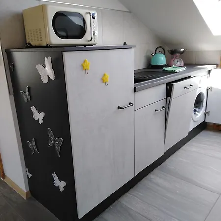 Appartement Komplette Dachwohnung Mit Balkon Und Bergblick Sonthofen