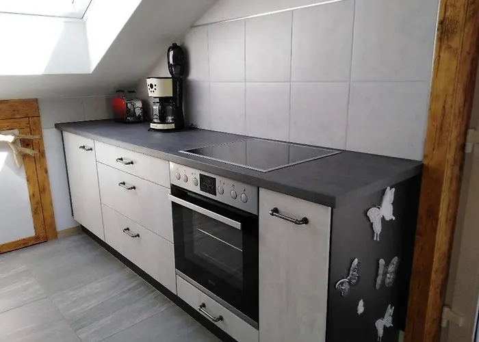 Komplette Dachwohnung Mit Balkon Und Bergblick זונטהופן